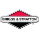 Briggs & Stratton